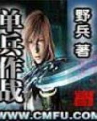 ������ս