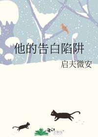 ���ĸ������