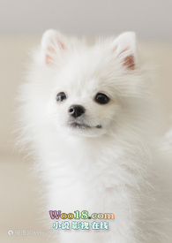 Сɧ���촩�ֲᣨH��