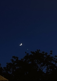 ���ǵ�����