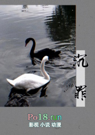 ������ùǿƣ�