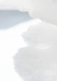 ��Ľ(У԰ ����)