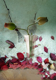 �����µ�õ��