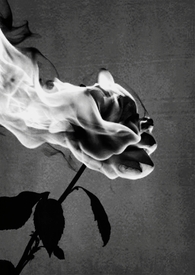 ���з��̣�1V1��