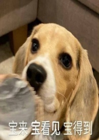 ����֮�ģ���ȫ����nph��