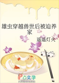 �۳洩Խ������������