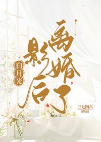 ���¹�Ӱ�������