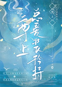 �����ܰ�װ���